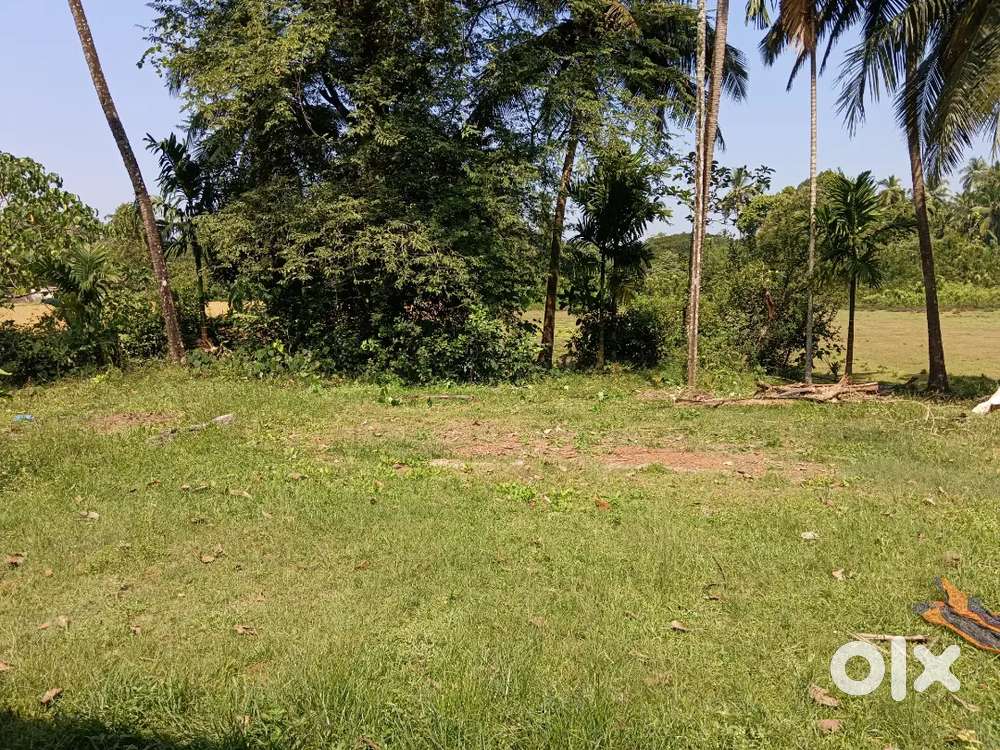 Budnar 5 cents land opp railway station