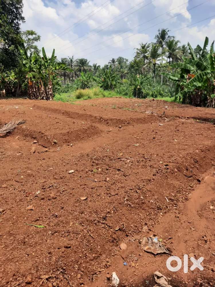 Plot for sale in karimulackal junction near charumood town