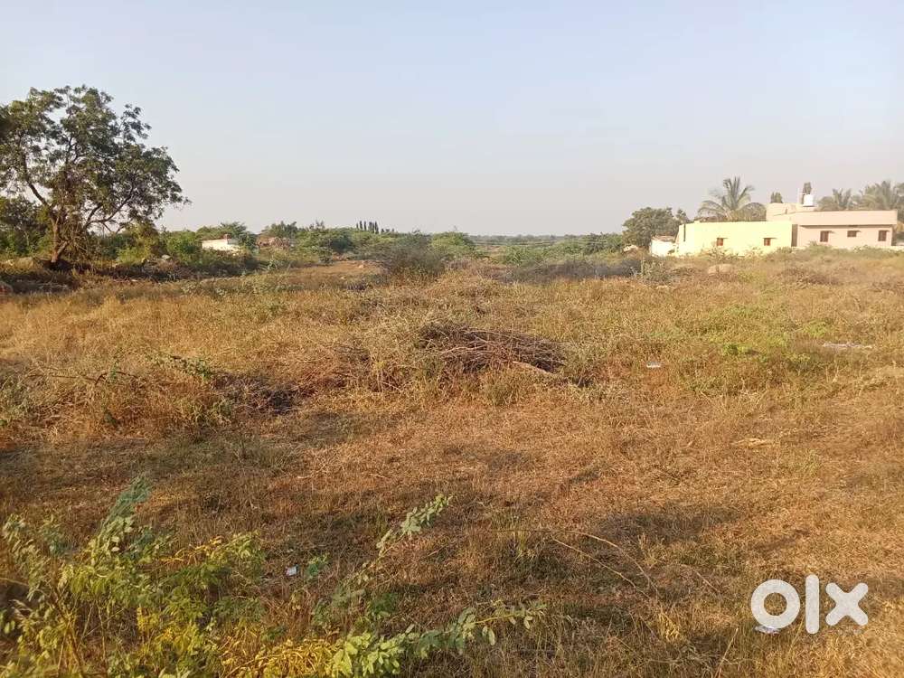 3acres land for sale in raichur district maski taluka bedara karlkunti