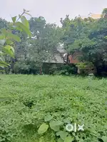 Plot for Sale