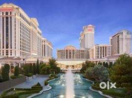 Required: Waiter ( Food + Loding Provided)