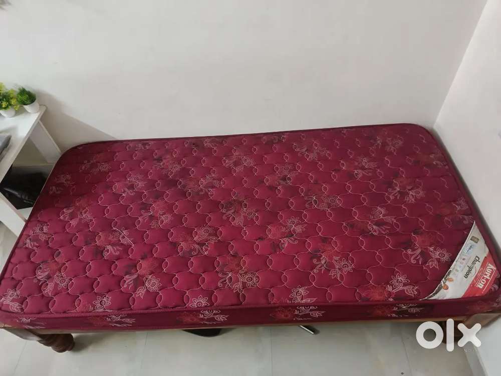 Single bed + Branded Kurlon Mattress