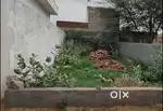 Registry Approved Plot at Siwani Bhiwani