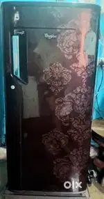 Whirlpool refrigerator with 5 star rating (205L)