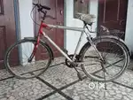 Nitrogen bicycle
