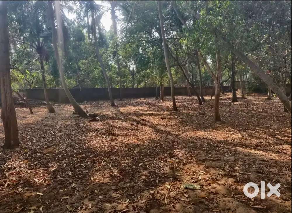 57 Cent land / for for rent monthly basis