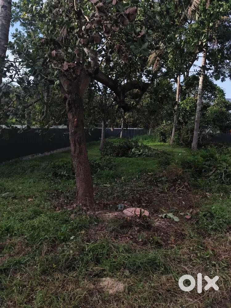 Plot For Sale in Umbernadu, Mavelikara