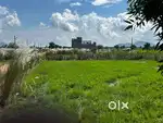 Good site for house project