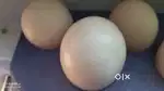 Country egg - 15 rupees one egg