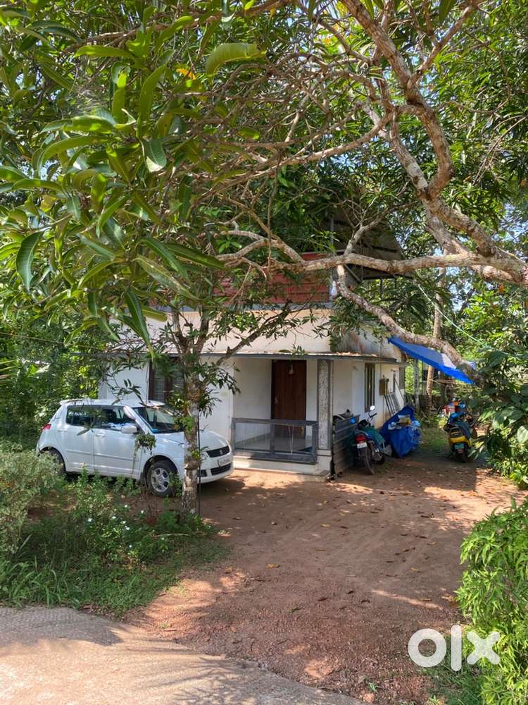 House with 13 cent plot