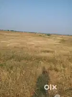 76 acers of land sale in Ap near TADA