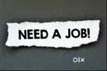 i need a job