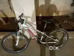 Giant Revel for Sale