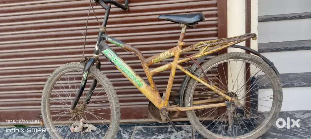 Carbon superb cycle