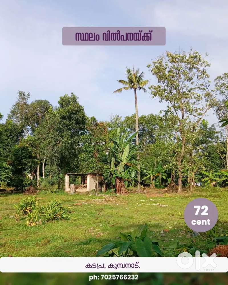 Residential Land for Sale in Kadapra, Kumbanad