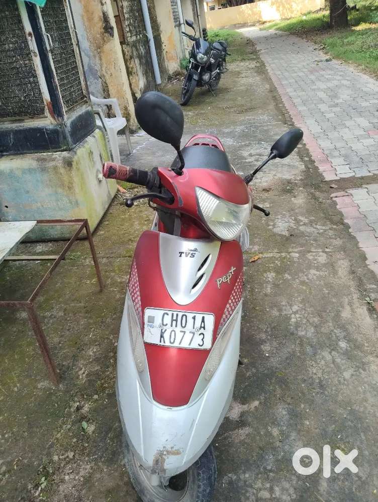 Petrol 50 plus