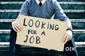 Looking for Part-Time Job – Exp in Pharmacy, Data Entry & Office Work