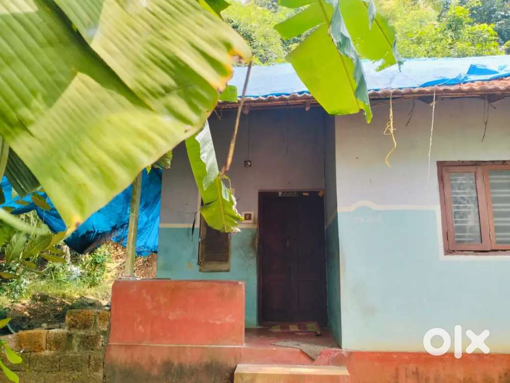 6.5 plot and house for sale