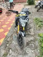 Hornet 2.0