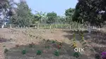 Affordable Luxury Plots on 6 Lane Kalyani Expressway for quick Sale