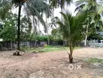 6 Cent Plot For Sale Near Vallikavu Amrita college