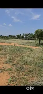 25 cent land ugent sale near to road per cent -3,20,000 negoitable