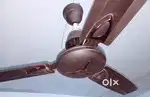 Ceiling Fan in good working condition DESIGN one