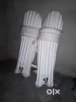 Cricket kit