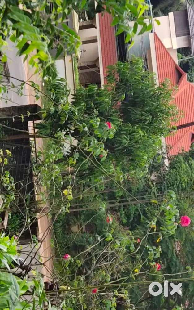 24 cent with house, Trivandrum, Nedumangad