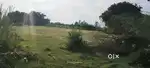 Agriculture land