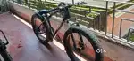 Sport Cycle (USA)