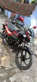 Passion pro Bs4