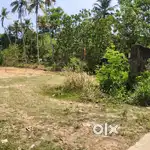 60 cent plot for sale