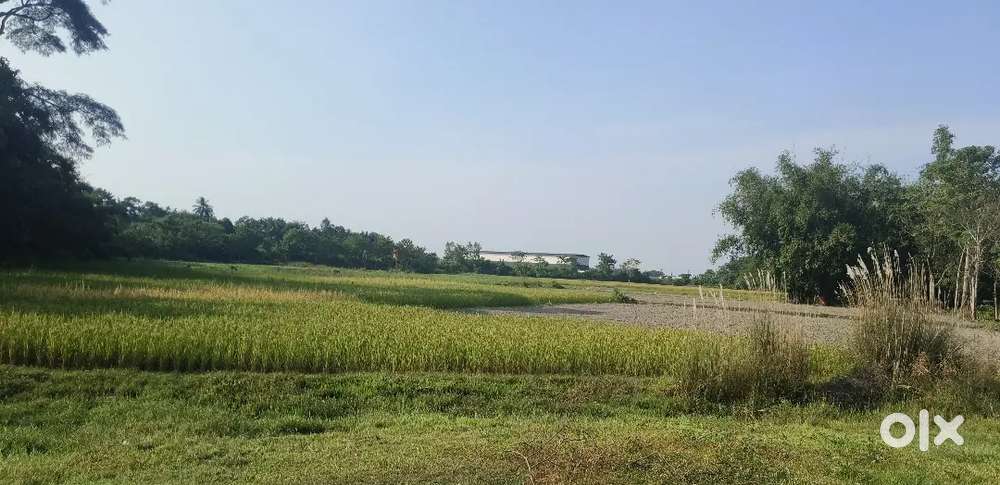 আলিপুরদুয়ার ( A )আবাসিক জমি( B ) কৃষি জমি ( জোত রেজিস্টার ল্যান্ড )