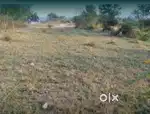 land at very cheapest price in village bari ,