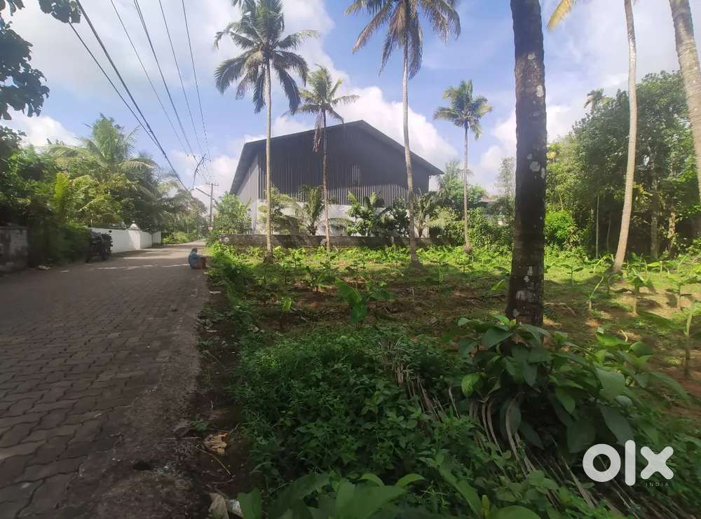 Plot for sale at aluva