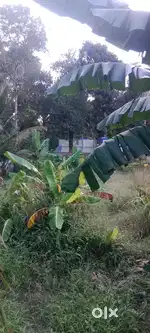 House Plot For Sale Pullannimukku Venganoor Trivandrum
