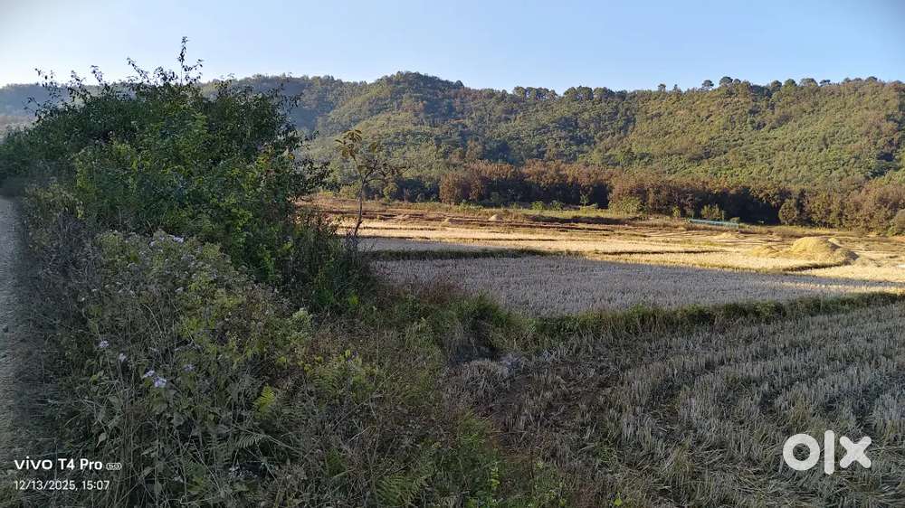 Farm amaga laopham amaga yonjari lambi mapan