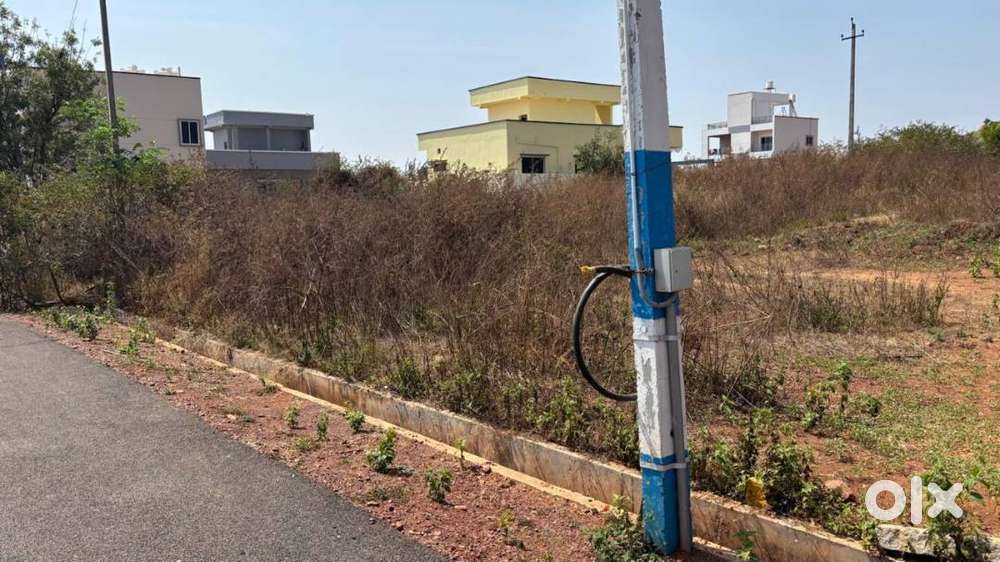Govt Land, Near school and college