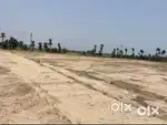 56 GAJ PLOT FOR SALE IN DAPPAR
