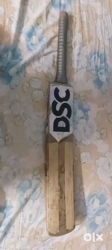 Cricket Bat.DSC company.