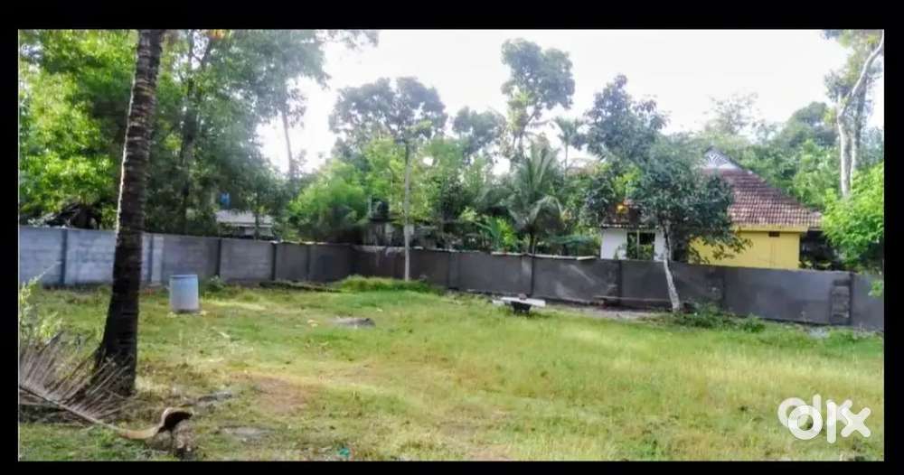 10.77 Cent Sq Plot Near Kochanakulangara Temple,Kayippuram