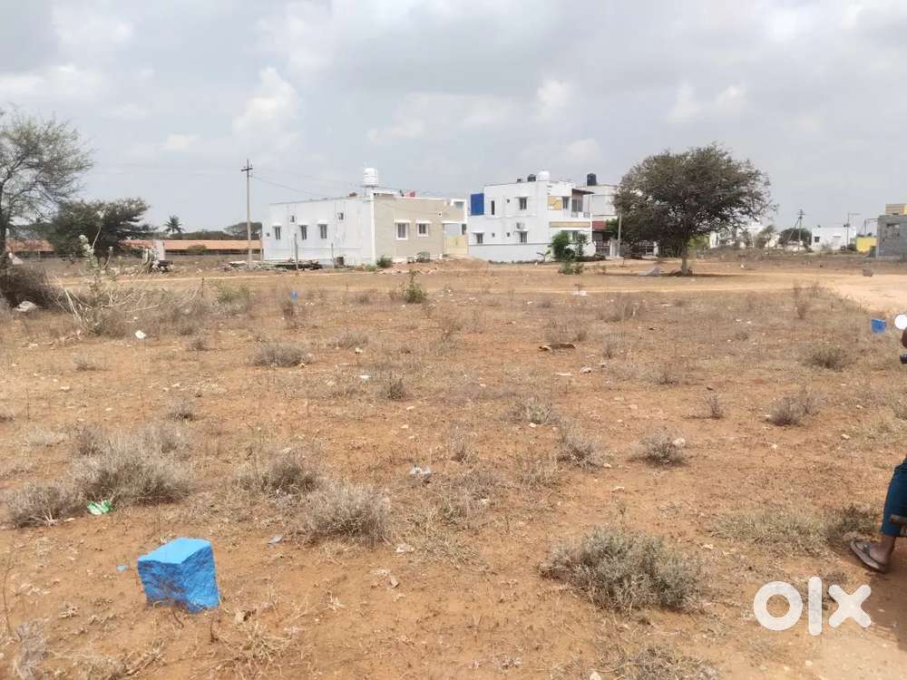 Land for sale in pappampatti