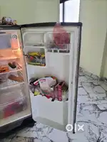 Freez (5 years old)