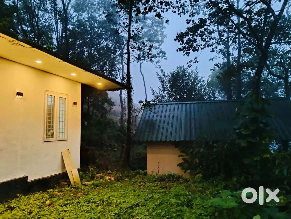 Resort with 50 cent plot for sale in Kakkadampoyil