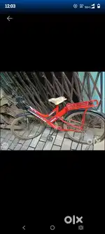 One year old New cycle