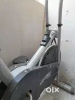 Exercise cycle