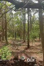 RIVER TOUCH,VALPOI - PONDA ROAD TOUCH PROPERTY,3458SQMT,@₹2499/SQMT