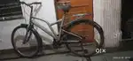 Bicycle boys