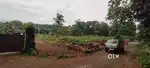 Kodugoor 10 cent house plot.1.75 .lakh.